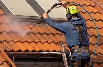 Démoussage et hydrofuge de toiture à Damousies